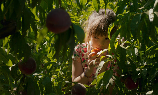 Sweet Peaches: Carla Simón on Alcarràs