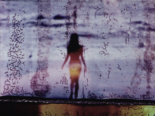 Where The Frame Breaks: Carolee Schneemann's Revolution