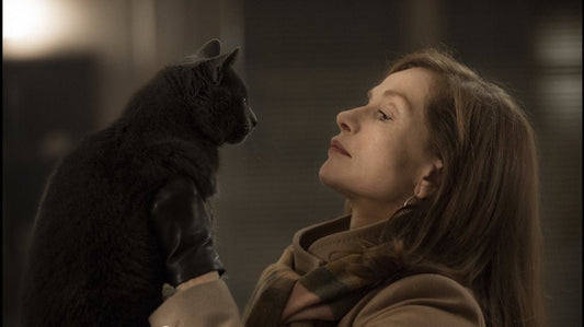 Asking For It: Isabelle Huppert's Transgressive Victims in The Piano Teacher and Elle