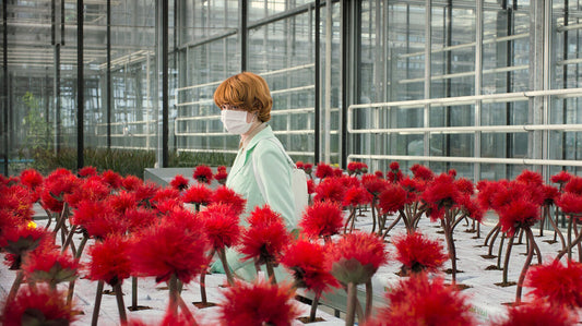 The Pursuit of Happiness: Emily Beecham on Dangerous Womanhood in Little Joe