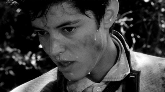 The Evil Within: Artistic Fever in The Wild Boys and Lord of the Flies